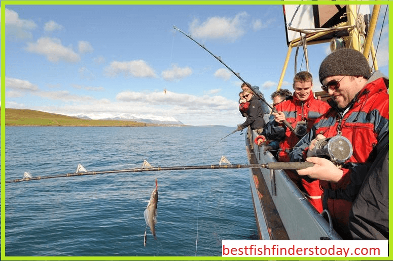 Sea Fishing with Portable Fish Finders