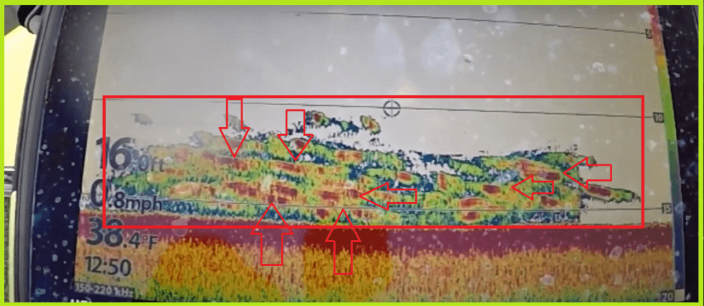 how to read humminbord fish finder sonar image.